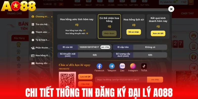 Chi tiết thông tin đăng ký đại lý AO88