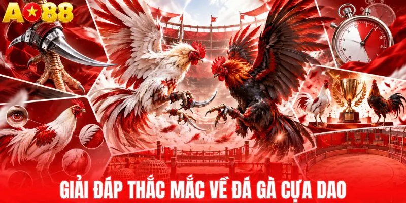 Giải đáp nhanh về đá gà cựa dao
