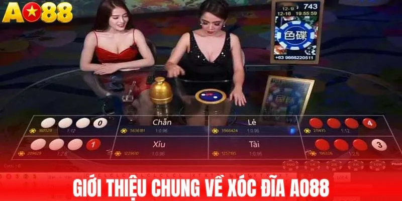 Giới thiệu chung về xóc đĩa AO88