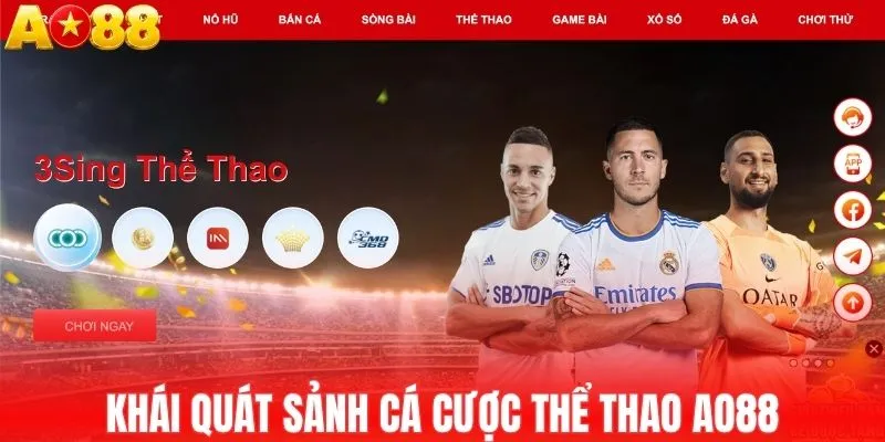 Khái quát sảnh cá cược thể thao AO88