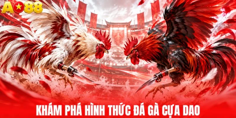 Khám phá nhanh hình thức đá gà cựa dao