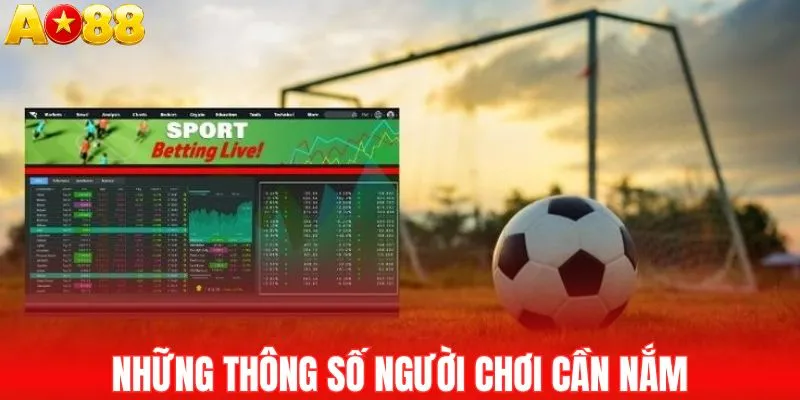 Những thông số người chơi cần nắm