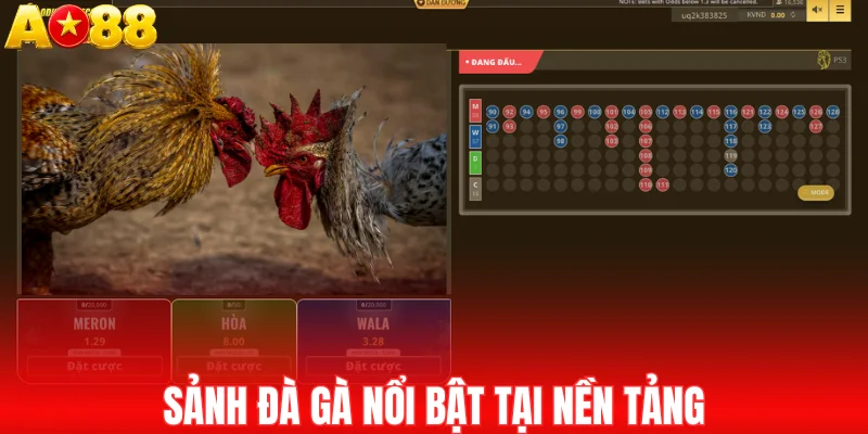 Sảnh đà gà nổi bật tại nền tảng