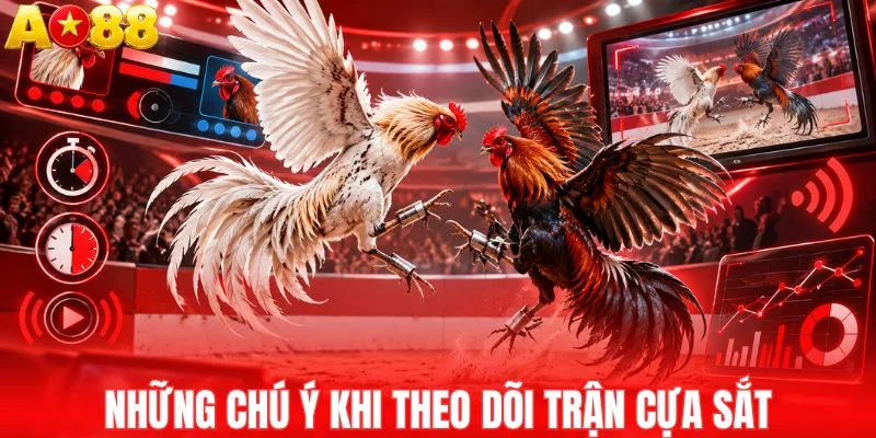 Theo dõi trận cựa sắt cần chú ý gì?