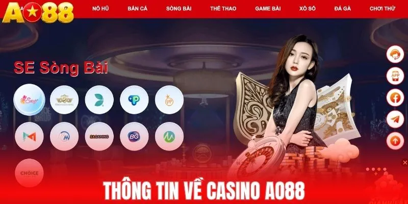 Thông tin về casino AO88